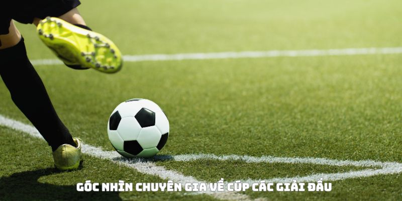 Cúp các giải đấu bóng đá tại Việt Nam – Hành trình Cúp Quốc gia 4 Góc nhìn chuyên gia về cúp các giải đấu